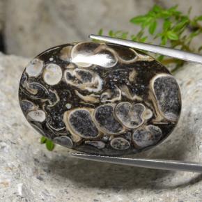 48.18캐럿 천연 멀티컬러 재스퍼, 타원형 컷, 32.9×22.7 mm, 불투명체