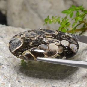 48.18캐럿 천연 멀티컬러 재스퍼, 타원형 컷, 32.9×22.7 mm, 불투명체