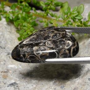 25.56캐럿 천연 멀티컬러 재스퍼, 트릴리언, 27.2×18.9 mm, 불투명체