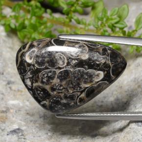 25.56캐럿 천연 멀티컬러 재스퍼, 트릴리언, 27.2×18.9 mm, 불투명체