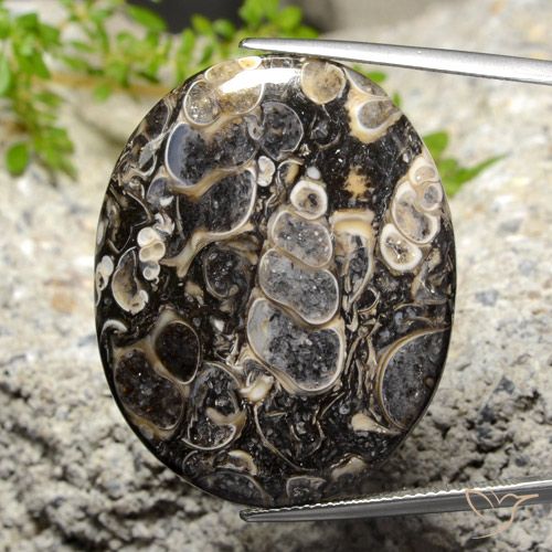 34.14ct 자연스러운 다색 벽옥, 타원형, 불투명체