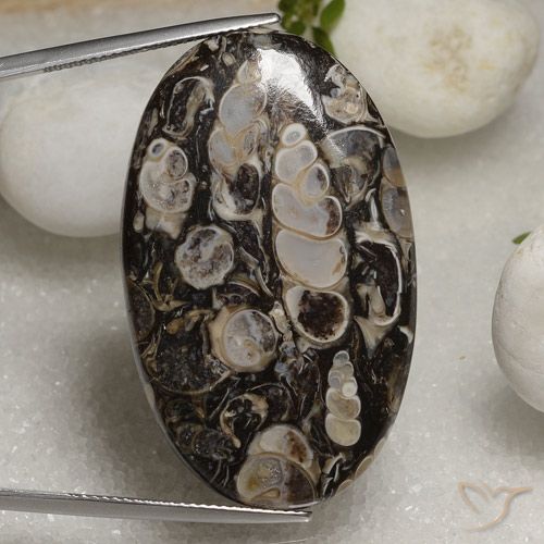 46.02ct 자연스러운 다색 벽옥, 타원형, 불투명체
