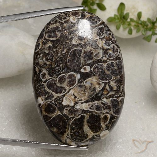 50.37ct 자연스러운 다색 벽옥, 타원형, 불투명체