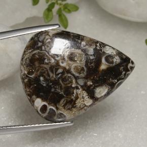 22.56캐럿 천연 다색 벽옥, 배 모양, 불투명체