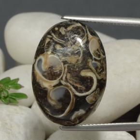 21.09캐럿 천연 멀티컬러 재스퍼, 타원형 컷, 23.7×16.9 mm, 불투명체