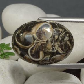 21.09캐럿 천연 멀티컬러 재스퍼, 타원형 컷, 23.7×16.9 mm, 불투명체