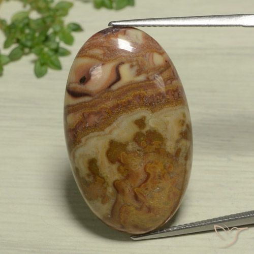 23.47ct 자연스러운 다색 벽옥, 타원형, 불투명체