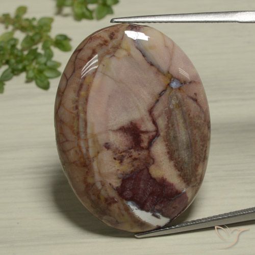 26.89ct 자연스러운 다색 벽옥, 타원형, 불투명체