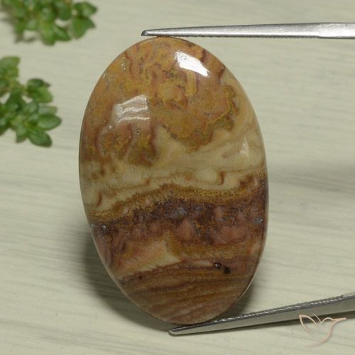 25.93ct 자연스러운 다색 벽옥, 타원형, 불투명체