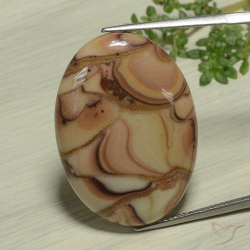 25.36ct 자연스러운 다색 벽옥, 타원형, 불투명체