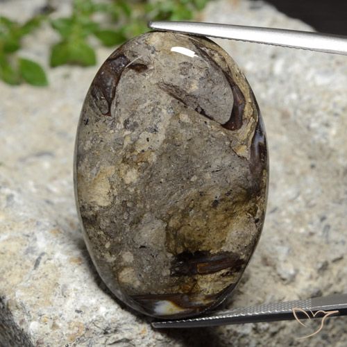 42.92ct 자연스러운 다색 벽옥, 타원형, 불투명체