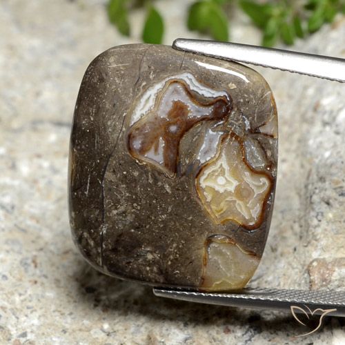19.87ct 자연스러운 다색 벽옥, 방석, 불투명체