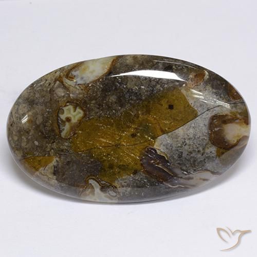48.91ct 자연스러운 다색 벽옥, 타원형, 불투명체