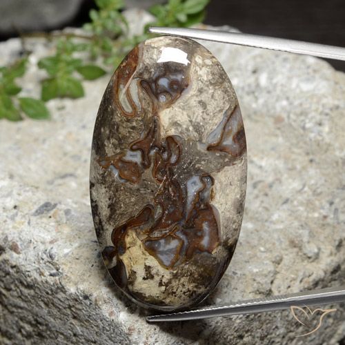 46.44ct 자연스러운 다색 벽옥, 타원형, 불투명체