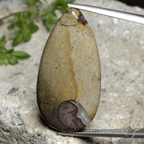 24.26ct 자연스러운 다색 벽옥, 배 모양, 불투명체