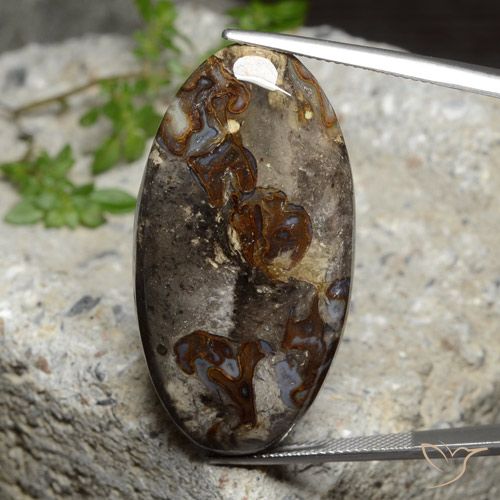 47.90ct 자연스러운 다색 벽옥, 타원형, 불투명체