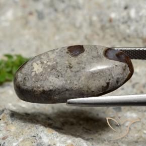 16.16캐럿 천연 다색 벽옥, 타원형, 불투명체