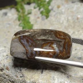 25.44캐럿 천연 다색 벽옥, 쿠션 컷, 불투명체