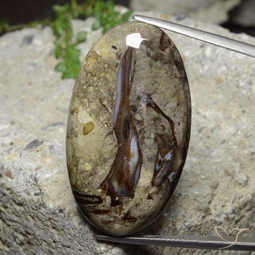 46.39ct 자연스러운 다색 벽옥, 타원형, 불투명체