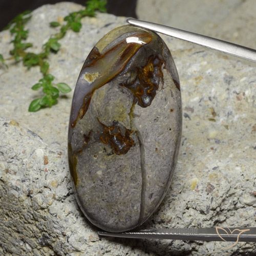 46.39ct 자연스러운 다색 벽옥, 타원형, 불투명체