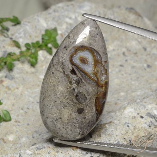 23.89ct 자연스러운 다색 벽옥, 배 모양, 불투명체