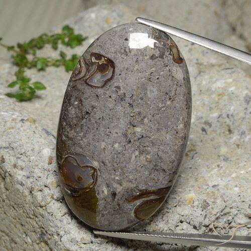 60.74ct 자연스러운 다색 벽옥, 타원형, 불투명체