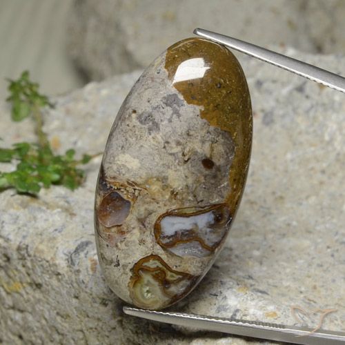 30.95ct 자연스러운 다색 벽옥, 타원형, 불투명체