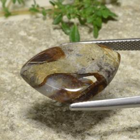 9.97캐럿 천연 다색 벽옥, 일조, 불투명체