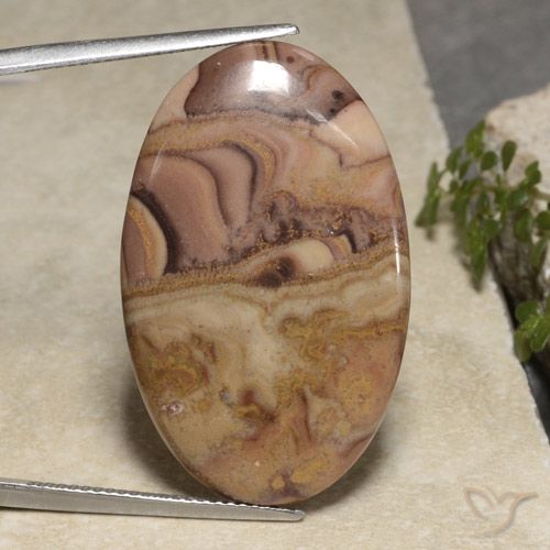 24.61ct 자연스러운 다색 벽옥, 타원형, 불투명체