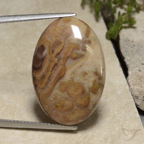 15.35ct 자연스러운 다색 벽옥, 타원형, 불투명체