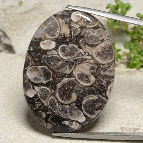 36.83ct 자연스러운 다색 벽옥, 타원형, 불투명체
