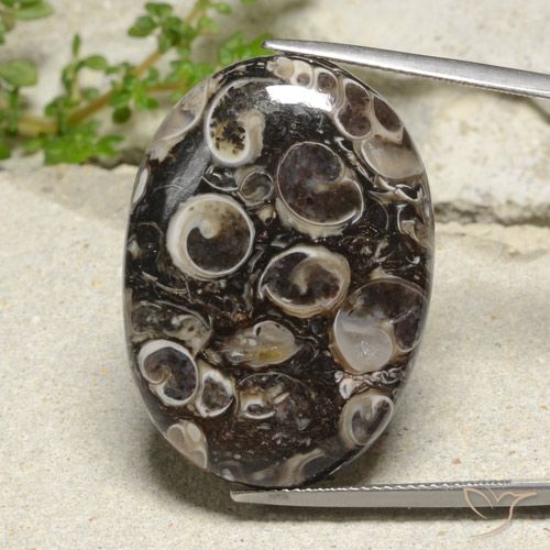 35.02ct 자연스러운 다색 벽옥, 타원형, 불투명체