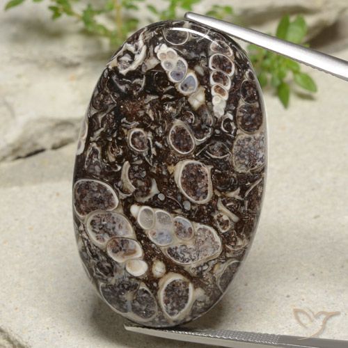 43.97ct 자연스러운 다색 벽옥, 타원형, 불투명체