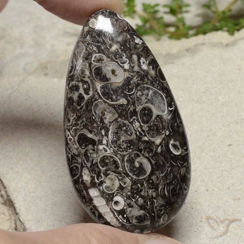 48.79ct 자연스러운 다색 벽옥, 배 모양, 불투명체