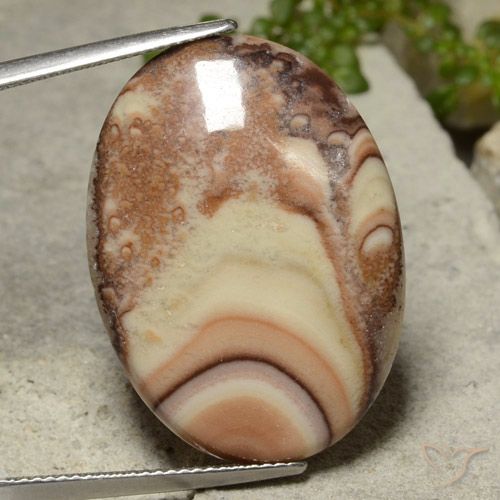 18.14ct 자연스러운 다색 벽옥, 타원형, 불투명체
