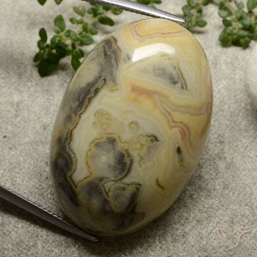 62.76ct 자연스러운 다색 벽옥, 타원형, 불투명체