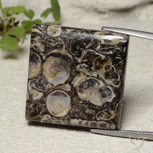 30.08ct 자연스러운 다색 벽옥, 정사각형, 불투명체