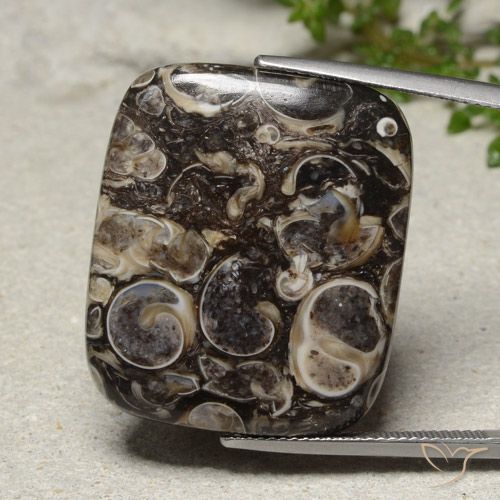 33.41ct 자연스러운 다색 벽옥, 방석, 불투명체