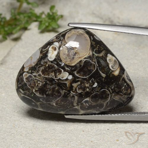 31.57ct 자연스러운 다색 벽옥, 배 모양, 불투명체