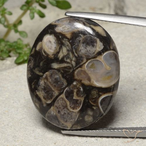 21.18ct 자연스러운 다색 벽옥, 타원형, 불투명체