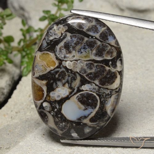 31.02ct 자연스러운 다색 벽옥, 타원형, 불투명체
