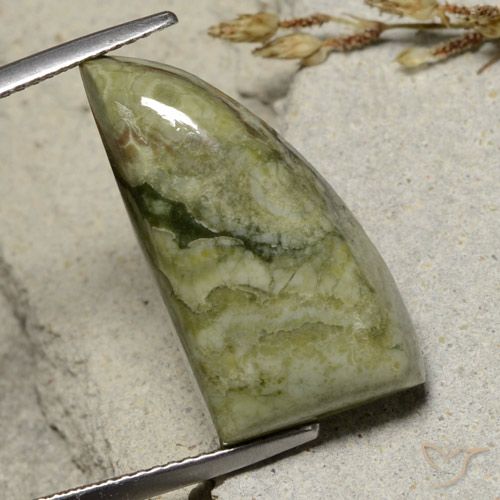 12.46ct 자연스러운 다색 벽옥, 팬시한, 불투명체