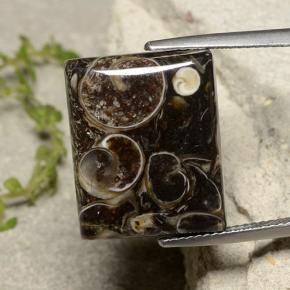 16.47캐럿 천연 멀티컬러 재스퍼, 바게트, 18.2×14.7 mm, 불투명체