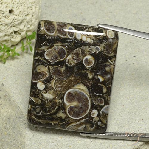 49.70ct 자연스러운 다색 벽옥, 바게트, 불투명체