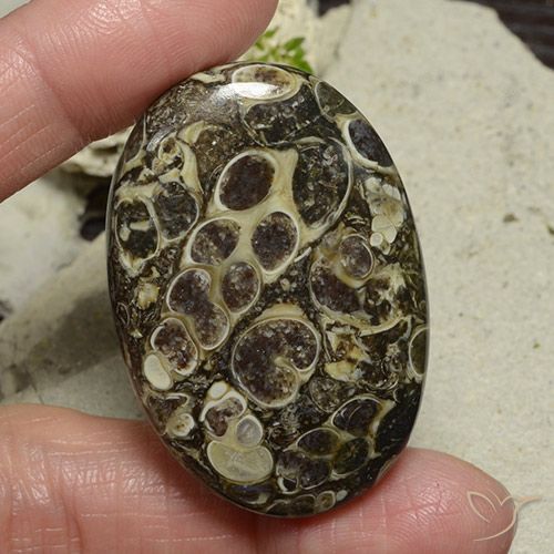71.95ct 자연스러운 다색 벽옥, 타원형, 불투명체