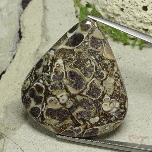 46.19ct 자연스러운 다색 벽옥, 배 모양, 불투명체