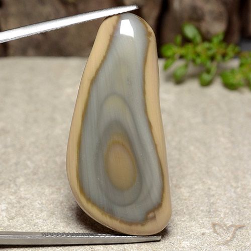 29.35ct 자연스러운 다색 벽옥, 팬시한, 불투명체
