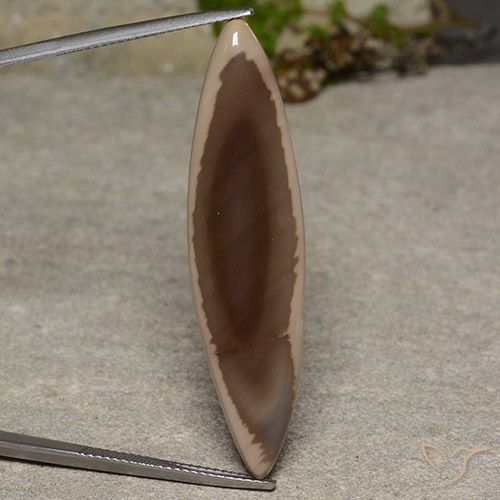 13.34ct 자연스러운 다색 벽옥, 보석, 불투명체