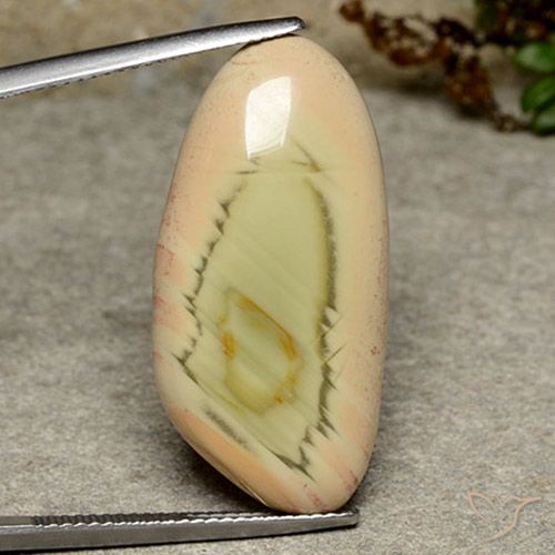 16.99ct 자연스러운 다색 벽옥, 팬시한, 불투명체