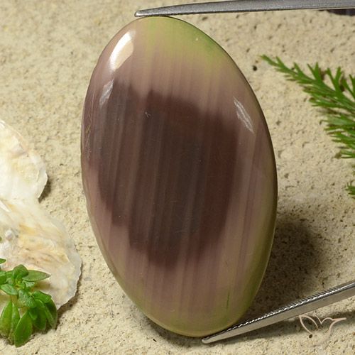 50.81ct 자연스러운 다색 벽옥, 타원형, 불투명체